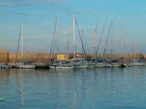 2449_1099464371301_5444958_n