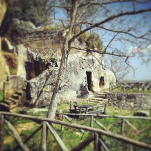 11079808_10206490484205355_881840358_n