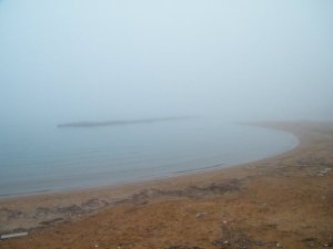 nebbia8