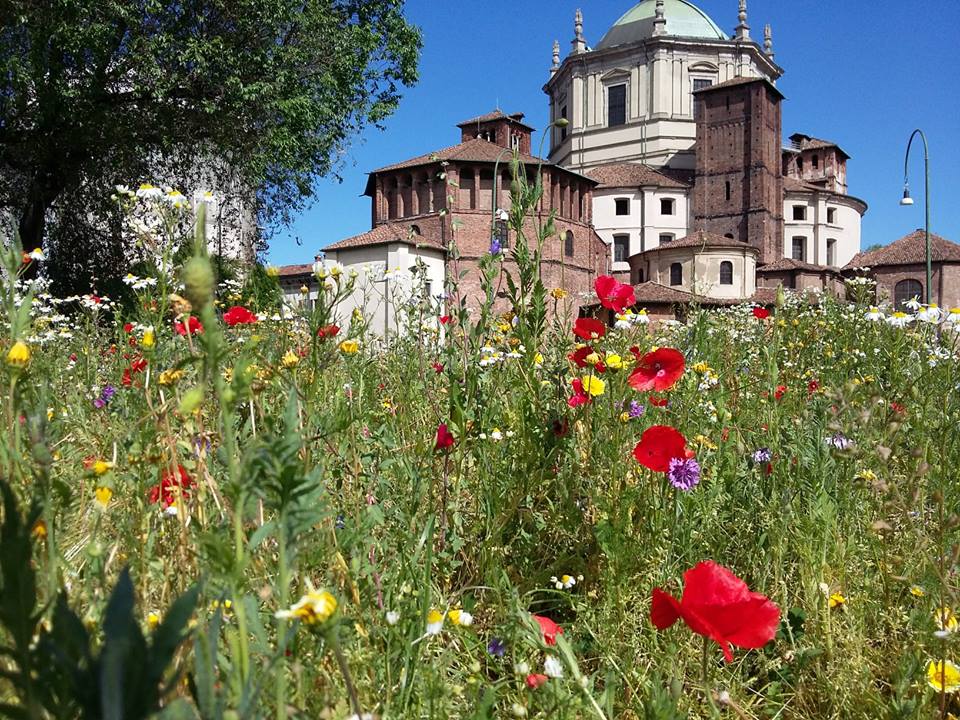 E la vita&nbsp;virtuale…