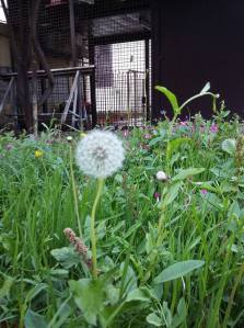 13348823_10209851698993624_1198494098_n