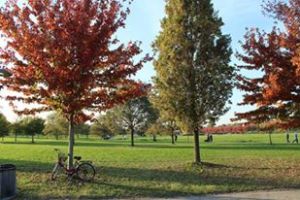 12742481_10208845669762059_1583464384338741772_n