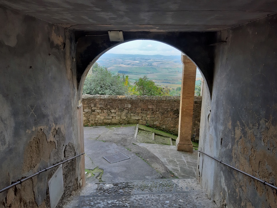 Tra colline e vigneti, in giro per Montalcino
