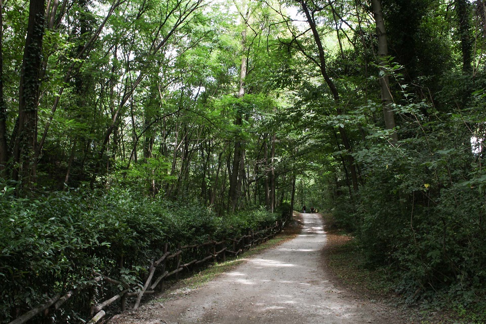 sentiero dei forti colico