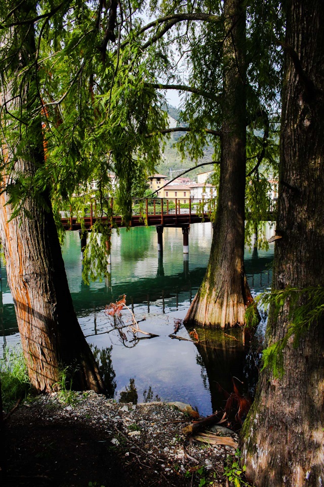 parco taxodi paratico