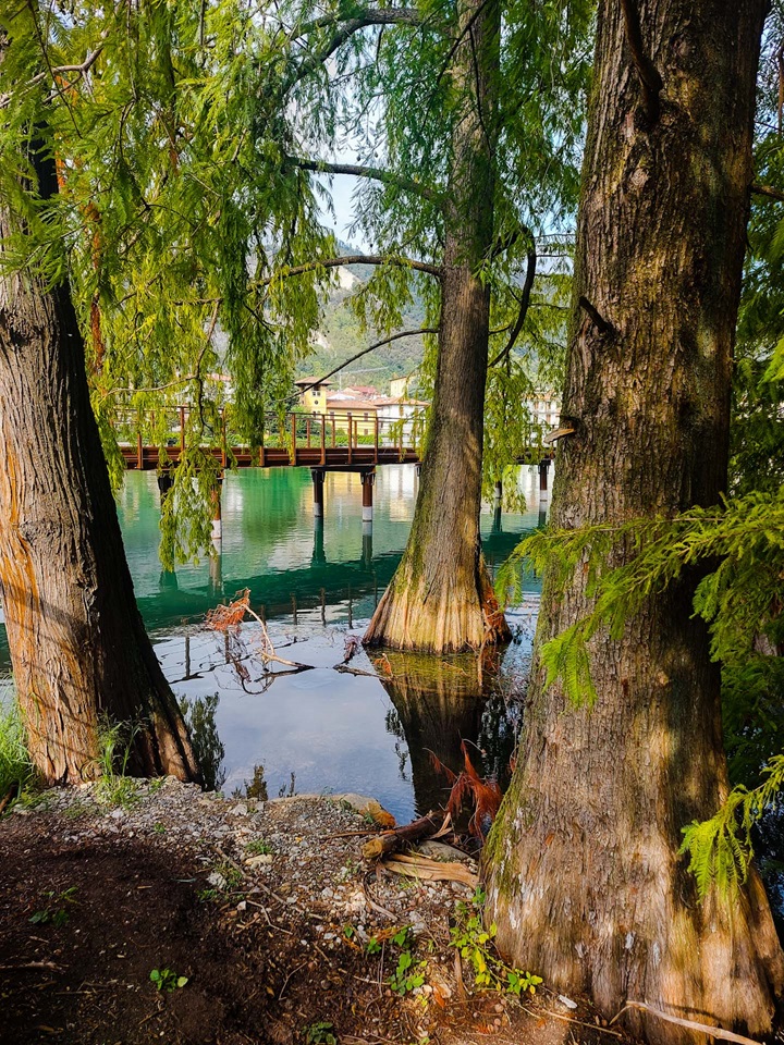 parco taxodi paratico