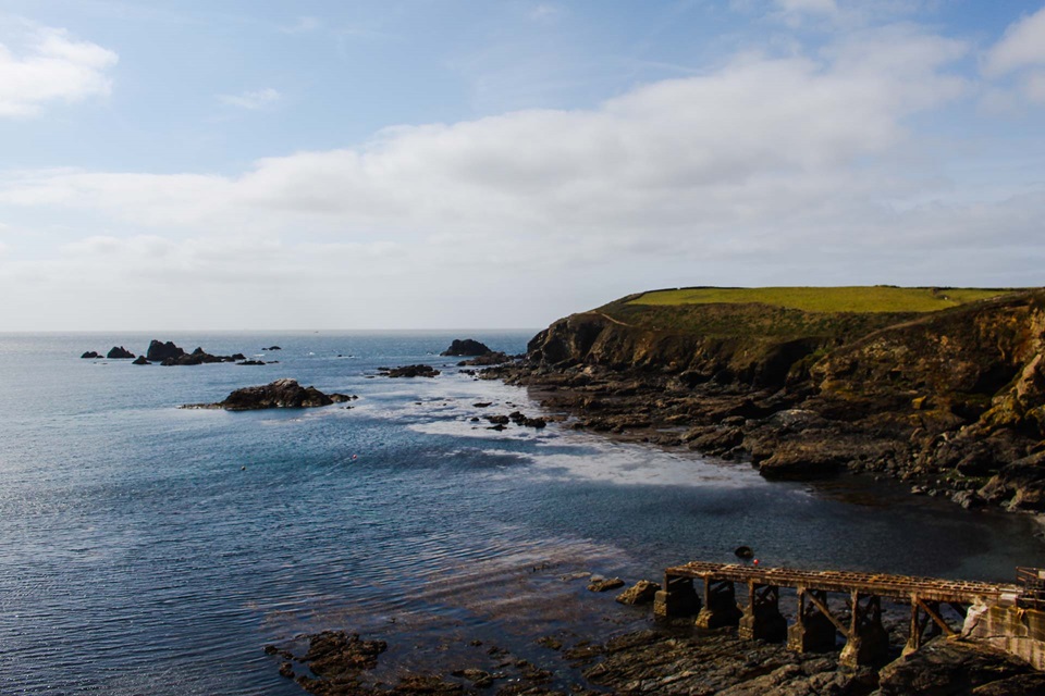 lizard point