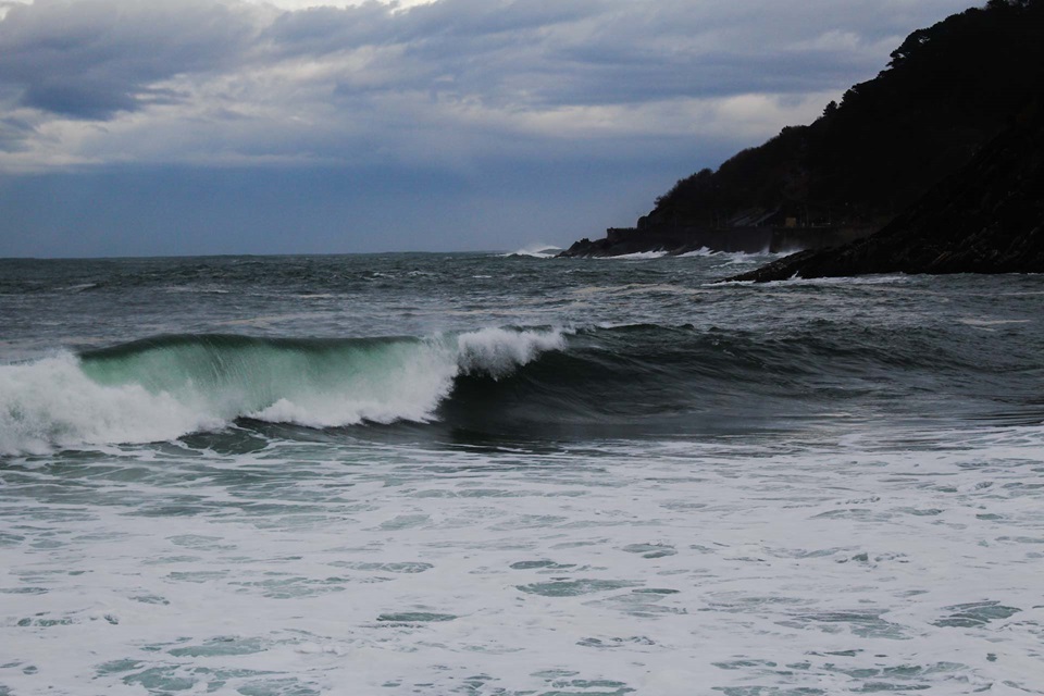 surf san sebastian